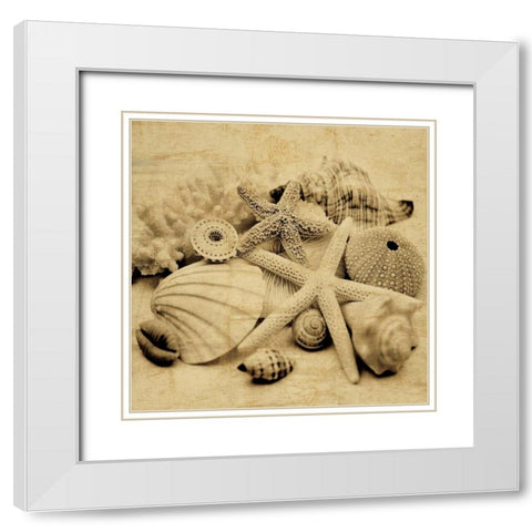 The Collection II White Modern Wood Framed Art Print with Double Matting by Seba, John
