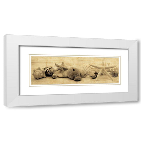 Treasures I White Modern Wood Framed Art Print with Double Matting by Seba, John