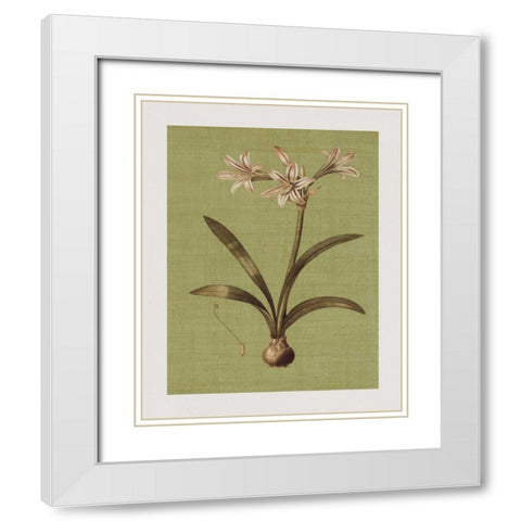 Botanica Verde I White Modern Wood Framed Art Print with Double Matting by Seba, John