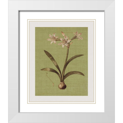 Botanica Verde I White Modern Wood Framed Art Print with Double Matting by Seba, John