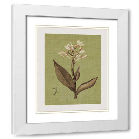 Botanica Verde II White Modern Wood Framed Art Print with Double Matting by Seba, John