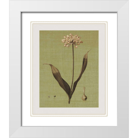 Botanica Verde III White Modern Wood Framed Art Print with Double Matting by Seba, John