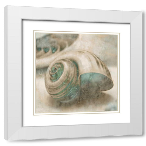 Coastal Gems II White Modern Wood Framed Art Print with Double Matting by Seba, John