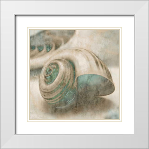 Coastal Gems II White Modern Wood Framed Art Print with Double Matting by Seba, John