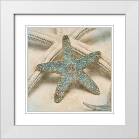 Coastal Gems III White Modern Wood Framed Art Print with Double Matting by Seba, John