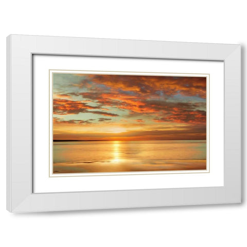 Sunlit White Modern Wood Framed Art Print with Double Matting by Seba, John