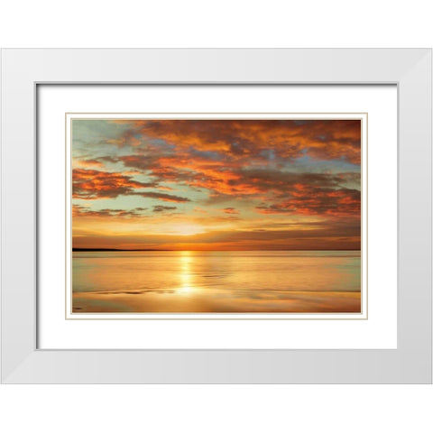 Sunlit White Modern Wood Framed Art Print with Double Matting by Seba, John
