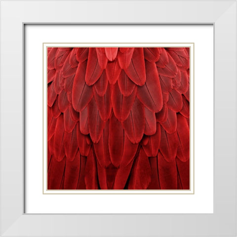 Feathered Friend - Red White Modern Wood Framed Art Print with Double Matting by Bosco, Julia