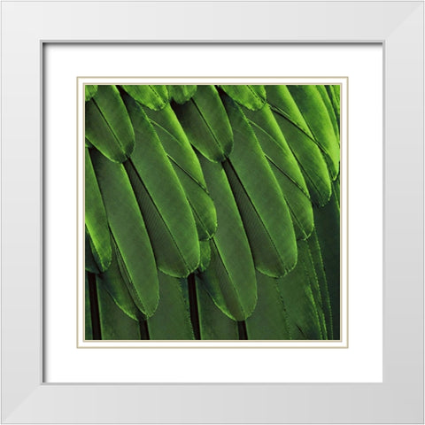 Feathered Friend - Green White Modern Wood Framed Art Print with Double Matting by Bosco, Julia
