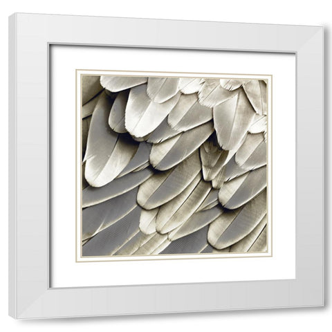 Feathered Friend - Pearl III White Modern Wood Framed Art Print with Double Matting by Bosco, Julia
