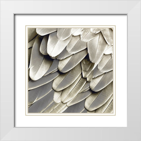 Feathered Friend - Pearl III White Modern Wood Framed Art Print with Double Matting by Bosco, Julia