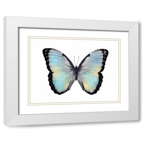 Blue Hue Butterfly White Modern Wood Framed Art Print with Double Matting by Bosco, Julia