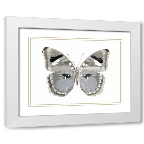 Butterfly in Grey II White Modern Wood Framed Art Print with Double Matting by Bosco, Julia
