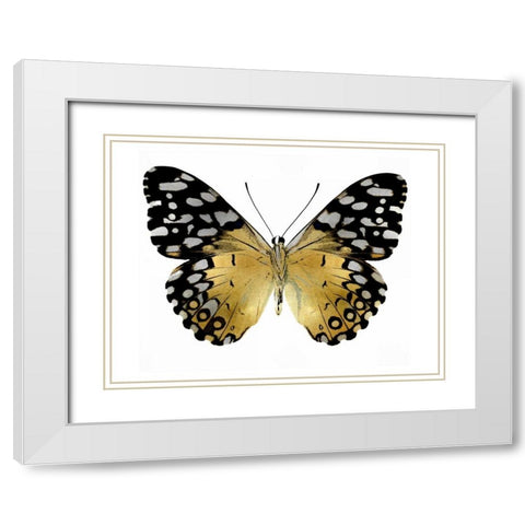 Golden Butterfly IV White Modern Wood Framed Art Print with Double Matting by Bosco, Julia