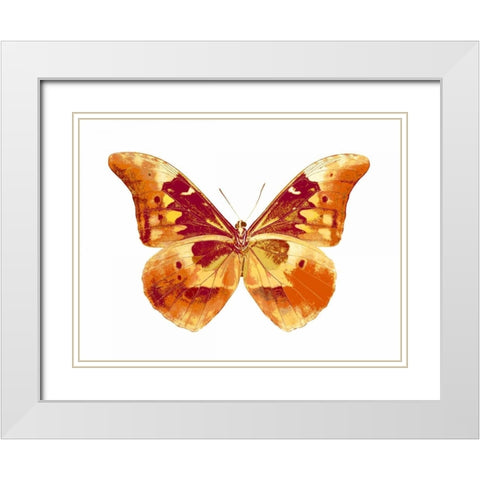 Butterfly in Grey III White Modern Wood Framed Art Print with Double Matting by Bosco, Julia
