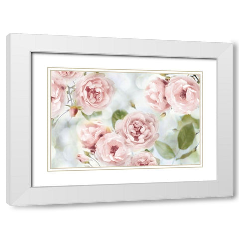 Pink Rose Garden III White Modern Wood Framed Art Print with Double Matting by Lane, Joanna
