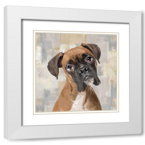 Boxer White Modern Wood Framed Art Print with Double Matting by Rodgers, Keri