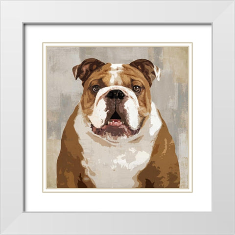 Bulldog White Modern Wood Framed Art Print with Double Matting by Rodgers, Keri