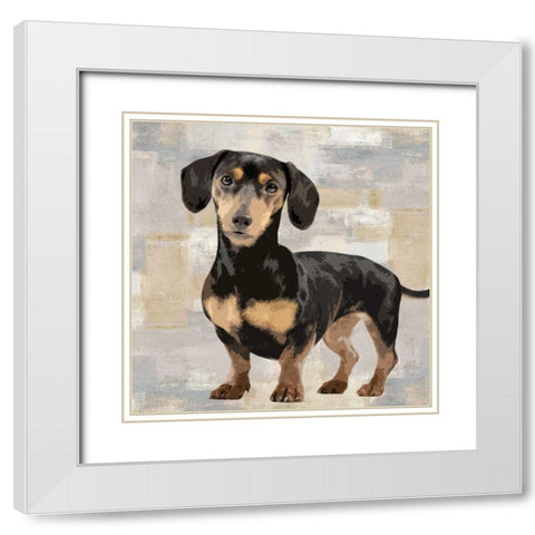 Dachshund White Modern Wood Framed Art Print with Double Matting by Rodgers, Keri