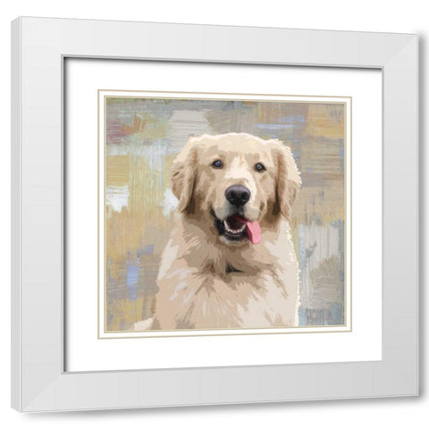 Golden Retriever White Modern Wood Framed Art Print with Double Matting by Rodgers, Keri