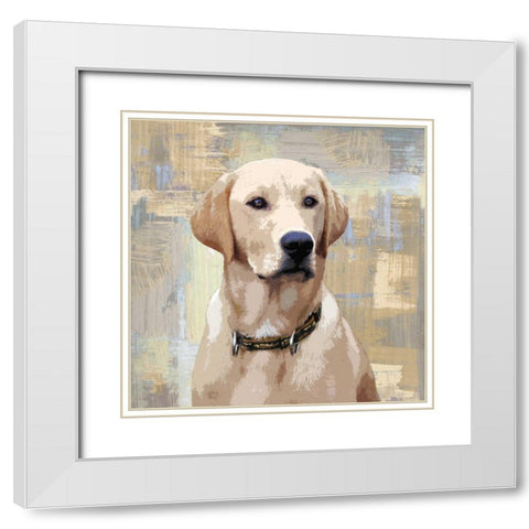 Labrador Retriever White Modern Wood Framed Art Print with Double Matting by Rodgers, Keri
