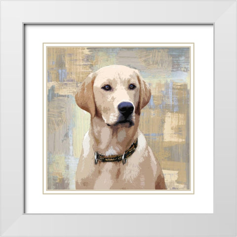 Labrador Retriever White Modern Wood Framed Art Print with Double Matting by Rodgers, Keri