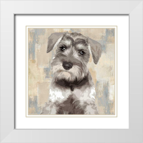 Miniature Schnauser White Modern Wood Framed Art Print with Double Matting by Rodgers, Keri