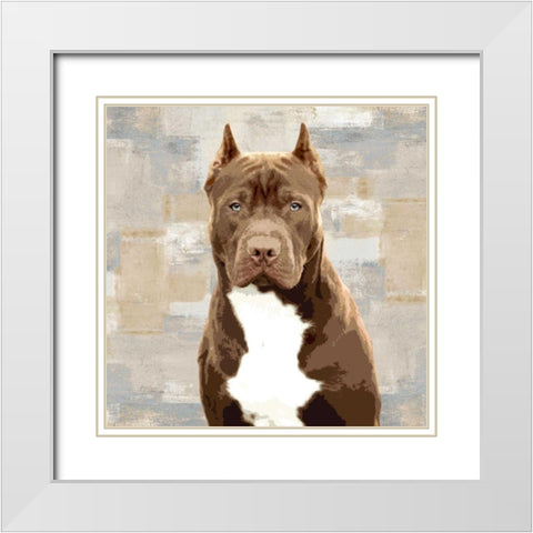 Pit Bull White Modern Wood Framed Art Print with Double Matting by Rodgers, Keri