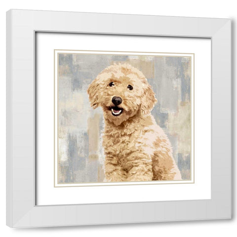 Poodle White Modern Wood Framed Art Print with Double Matting by Rodgers, Keri