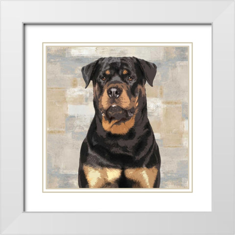 Rottweiler White Modern Wood Framed Art Print with Double Matting by Rodgers, Keri