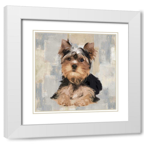 Yorkshire Terrier White Modern Wood Framed Art Print with Double Matting by Rodgers, Keri