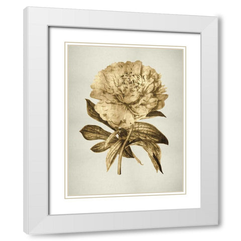 Gold Tulip II White Modern Wood Framed Art Print with Double Matting by Bennett, Kate