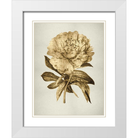 Gold Tulip II White Modern Wood Framed Art Print with Double Matting by Bennett, Kate