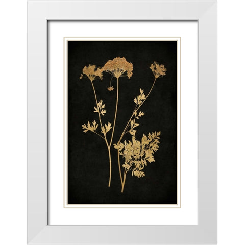 Golden Nature III White Modern Wood Framed Art Print with Double Matting by Bennett, Kate