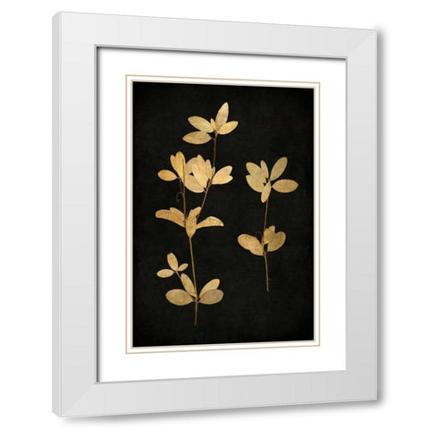 Golden Nature IV White Modern Wood Framed Art Print with Double Matting by Bennett, Kate