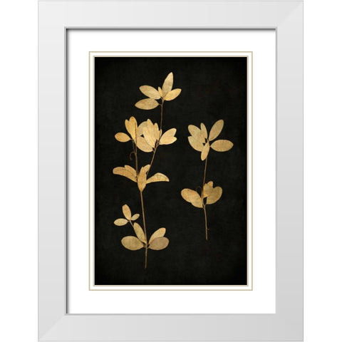 Golden Nature IV White Modern Wood Framed Art Print with Double Matting by Bennett, Kate