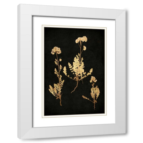 Golden Nature V White Modern Wood Framed Art Print with Double Matting by Bennett, Kate