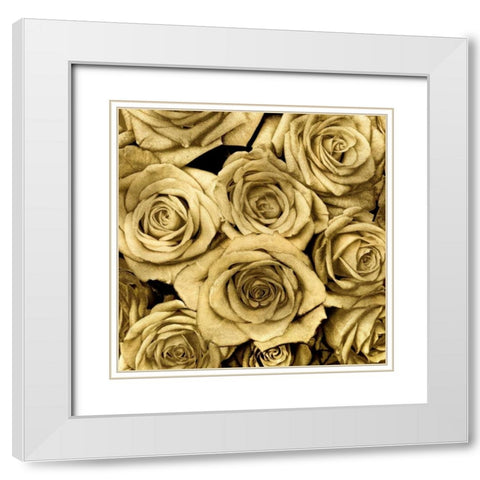 Gold Roses White Modern Wood Framed Art Print with Double Matting by Bennett, Kate