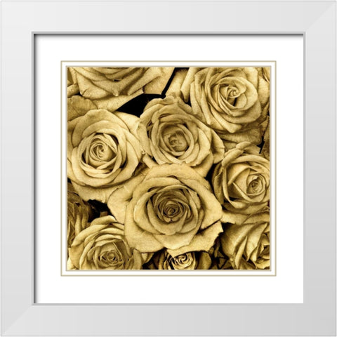 Gold Roses White Modern Wood Framed Art Print with Double Matting by Bennett, Kate
