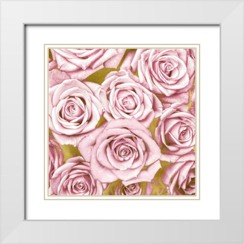 Pink Roses on Gold White Modern Wood Framed Art Print with Double Matting by Bennett, Kate