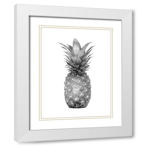 Pineapple Gray I White Modern Wood Framed Art Print with Double Matting by Bennett, Kate