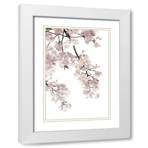 Pink Blossoms on White I White Modern Wood Framed Art Print with Double Matting by Bennett, Kate