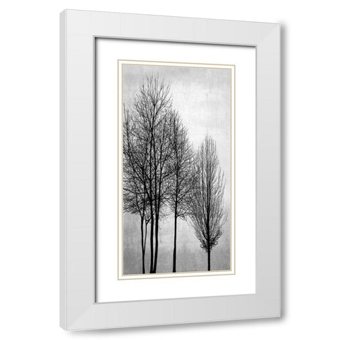 Trees on Silver Panel I White Modern Wood Framed Art Print with Double Matting by Bennett, Kate