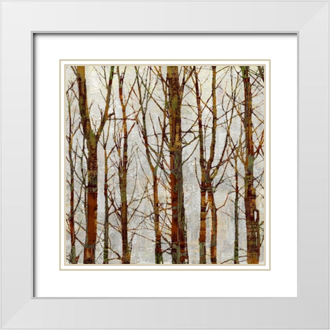 Through The Trees II White Modern Wood Framed Art Print with Double Matting by Webster, Kyle