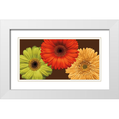 Daisy Trio White Modern Wood Framed Art Print with Double Matting by Blake, Lindsay