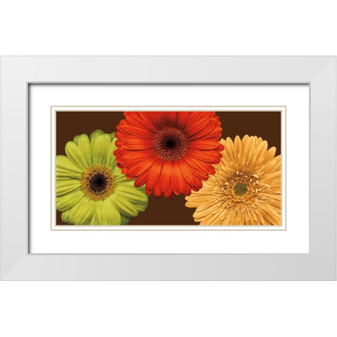 Daisy Trio White Modern Wood Framed Art Print with Double Matting by Blake, Lindsay
