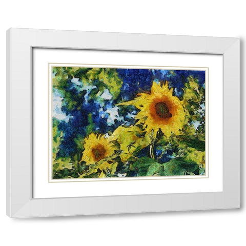 Sunflowers  White Modern Wood Framed Art Print with Double Matting by Calkins, Michelle