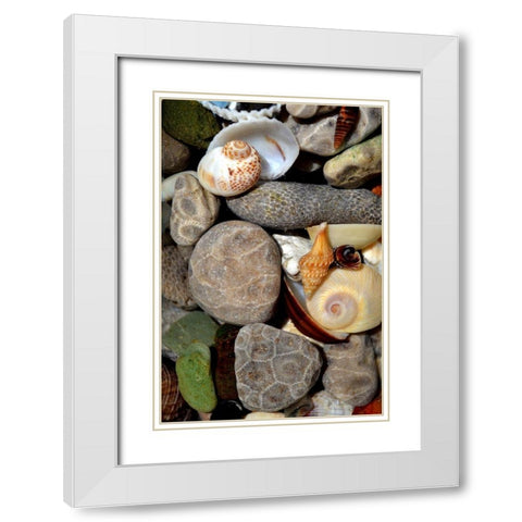 Petoskey Stones II  White Modern Wood Framed Art Print with Double Matting by Calkins, Michelle