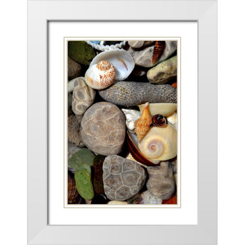 Petoskey Stones II  White Modern Wood Framed Art Print with Double Matting by Calkins, Michelle