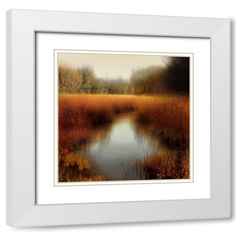Sunlit Pond II White Modern Wood Framed Art Print with Double Matting by Clark, Madeline